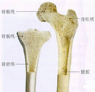 骨密度儀檢測對預(yù)防骨質(zhì)疏松的必要性