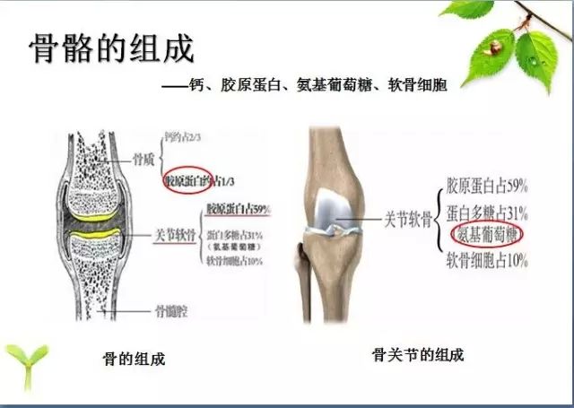  超聲骨密度儀檢測骨密度的方法