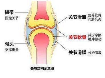 超聲骨密度儀乳腺癌患者需定期檢測骨密度