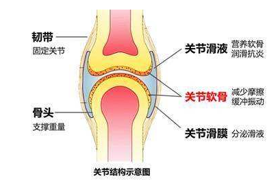 超聲骨密度檢測(cè)儀廠家告訴骨密度檢測(cè)的適應(yīng)癥