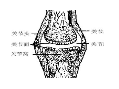 骨密度檢測儀廠家分析骨硬化癥狀的表現(xiàn)