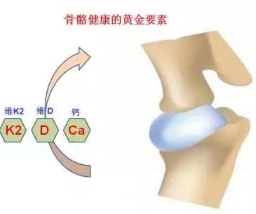 骨密度檢測儀廠家提醒好習(xí)慣預(yù)防骨骼疾病