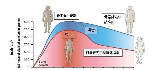 【今天引薦】超聲骨密度測試儀器生產(chǎn)廠家主張兩種提高男人骨密度的練習(xí)